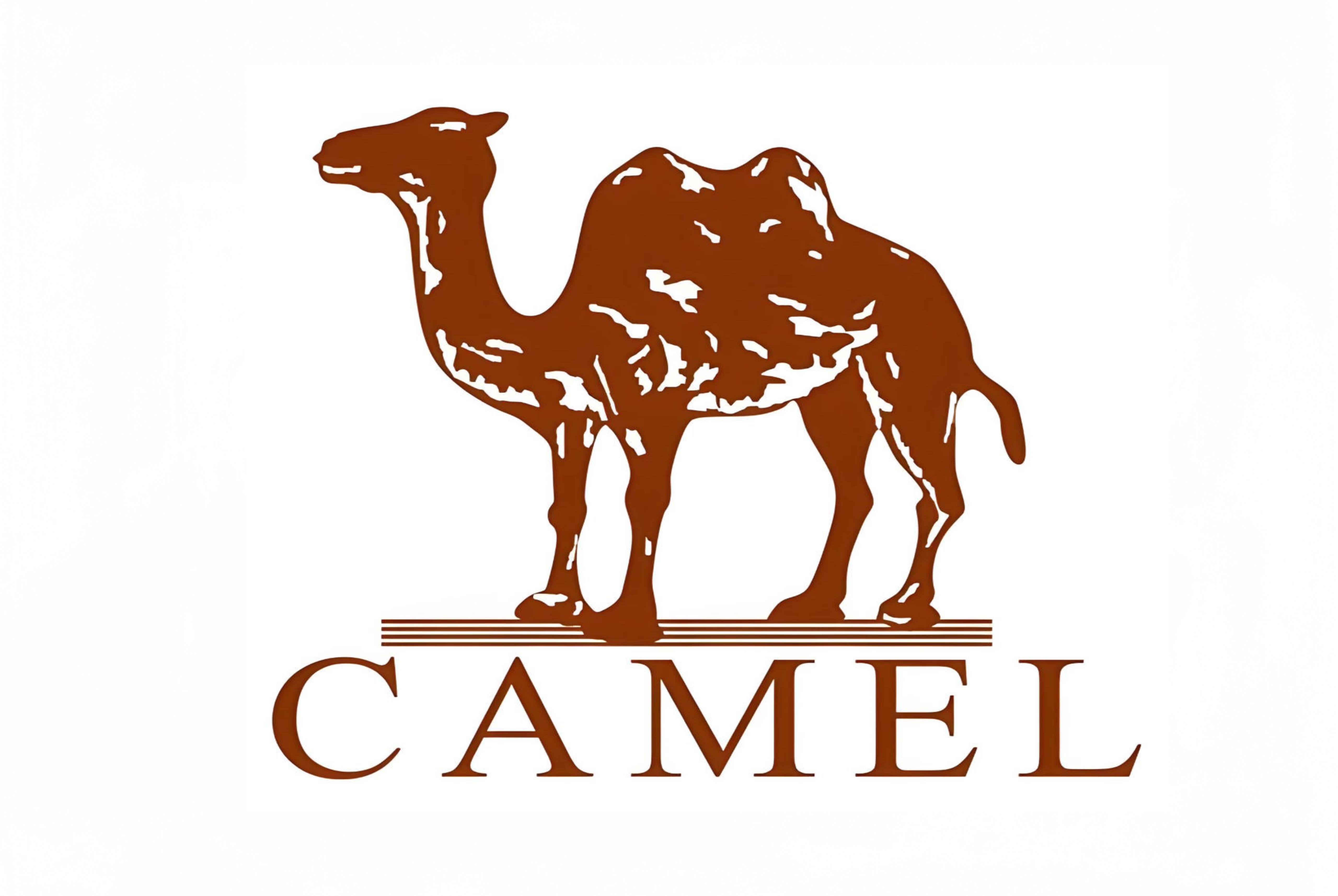 駱駝（中國）戶外用品